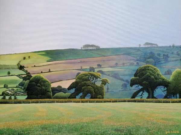 North Pembrokeshire Landscape